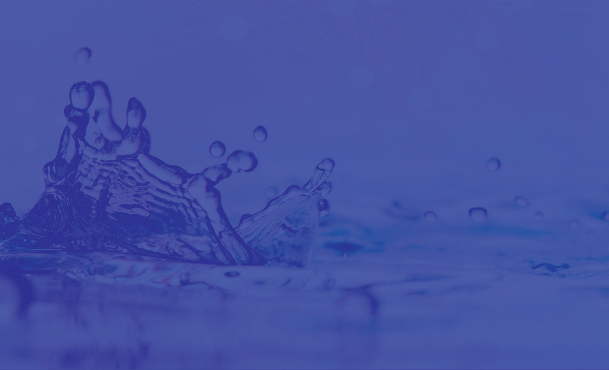 splash purple.jpg
