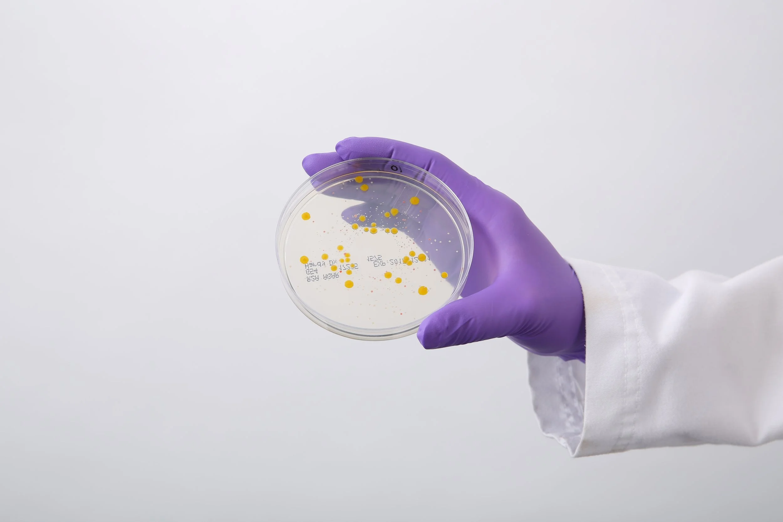 R2A Testing for Dental Waterlines: Why StandardCheck™ Is the Gold Standard