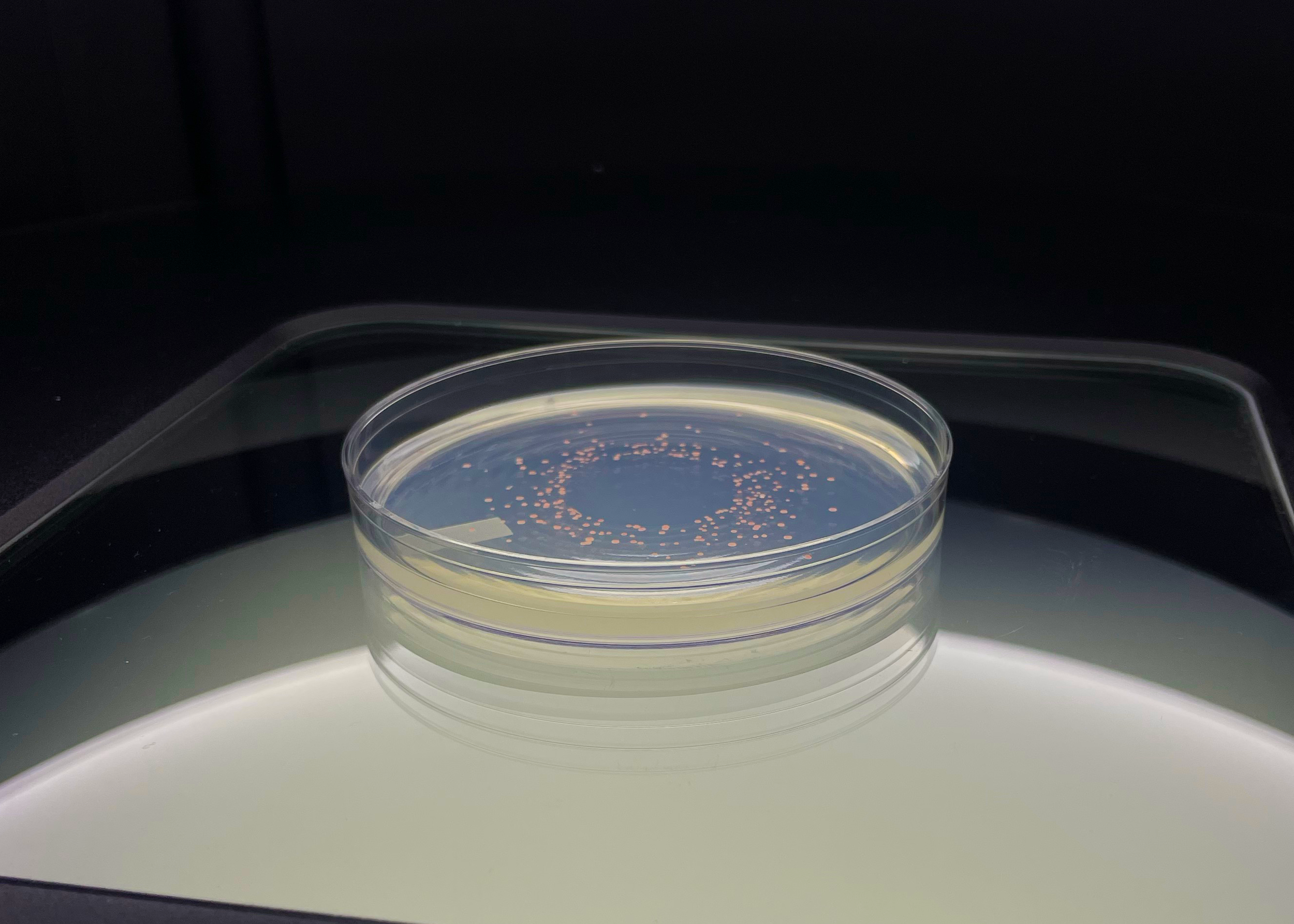 Responding to a Failed Water Test
