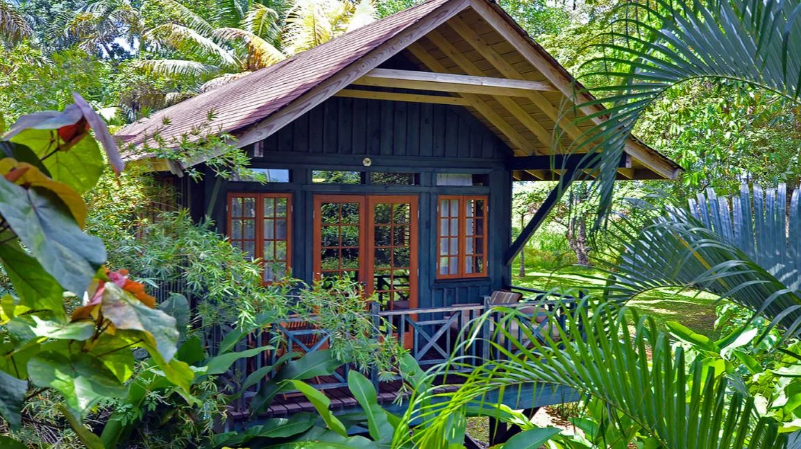 sunset at the palms 2.JPG