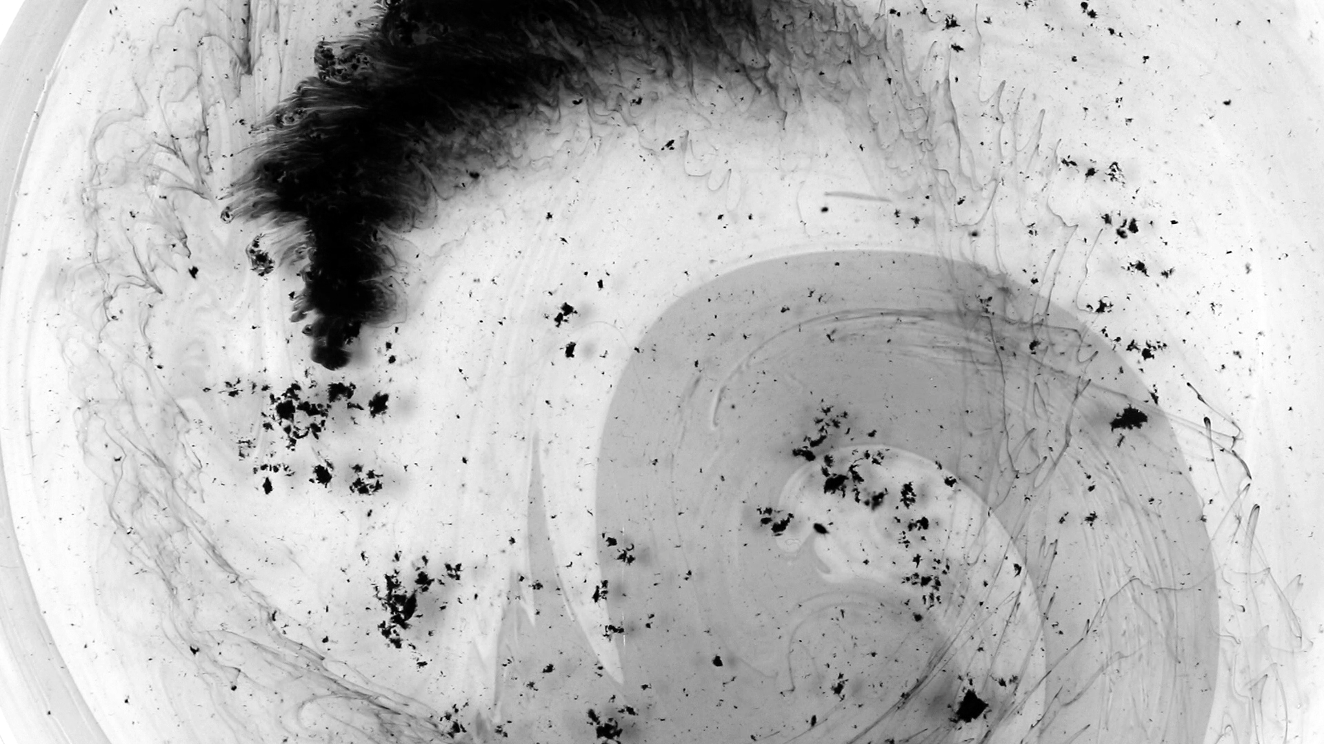 Still Frame from Projection I