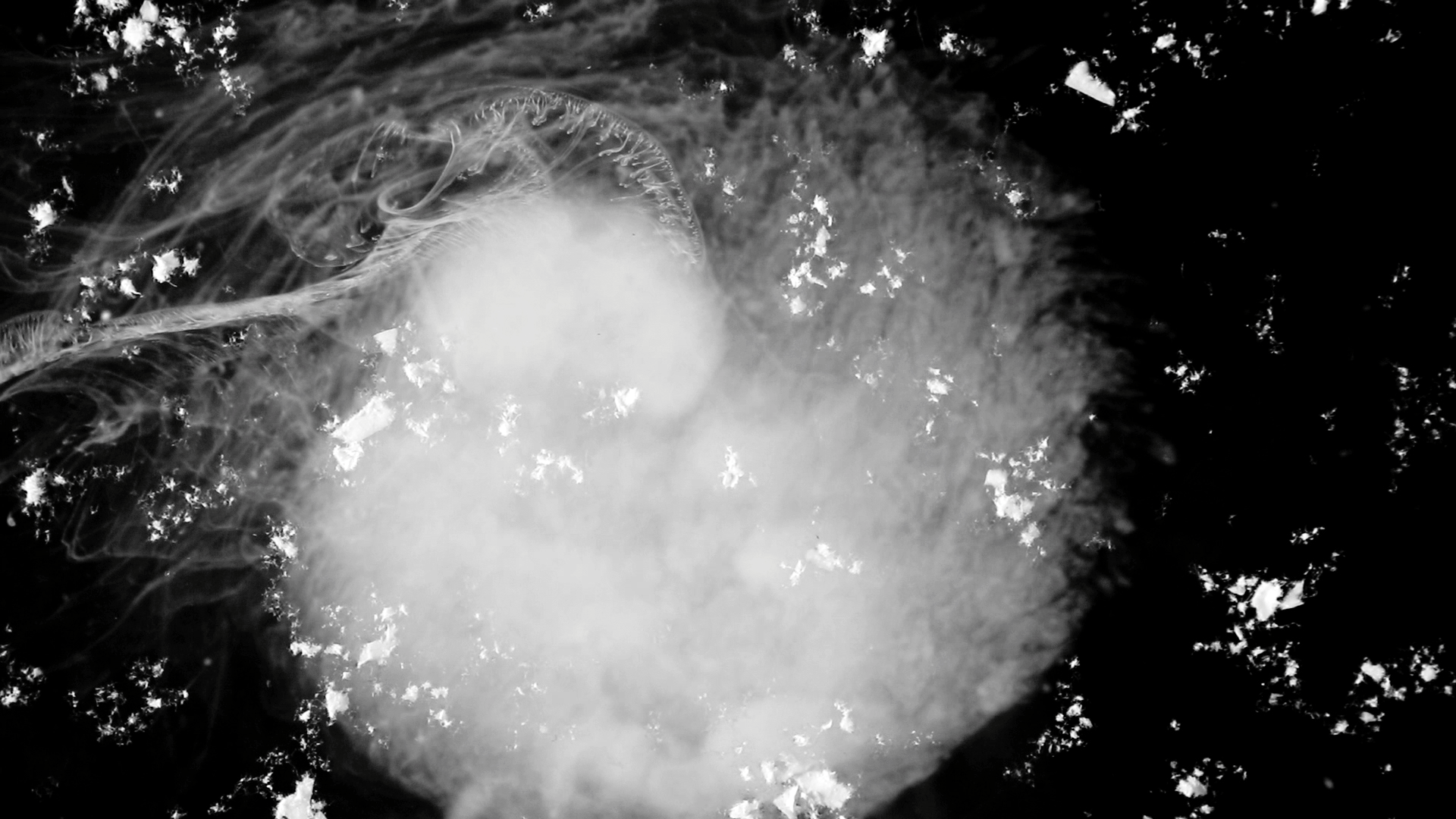 Still Frame from Projection III
