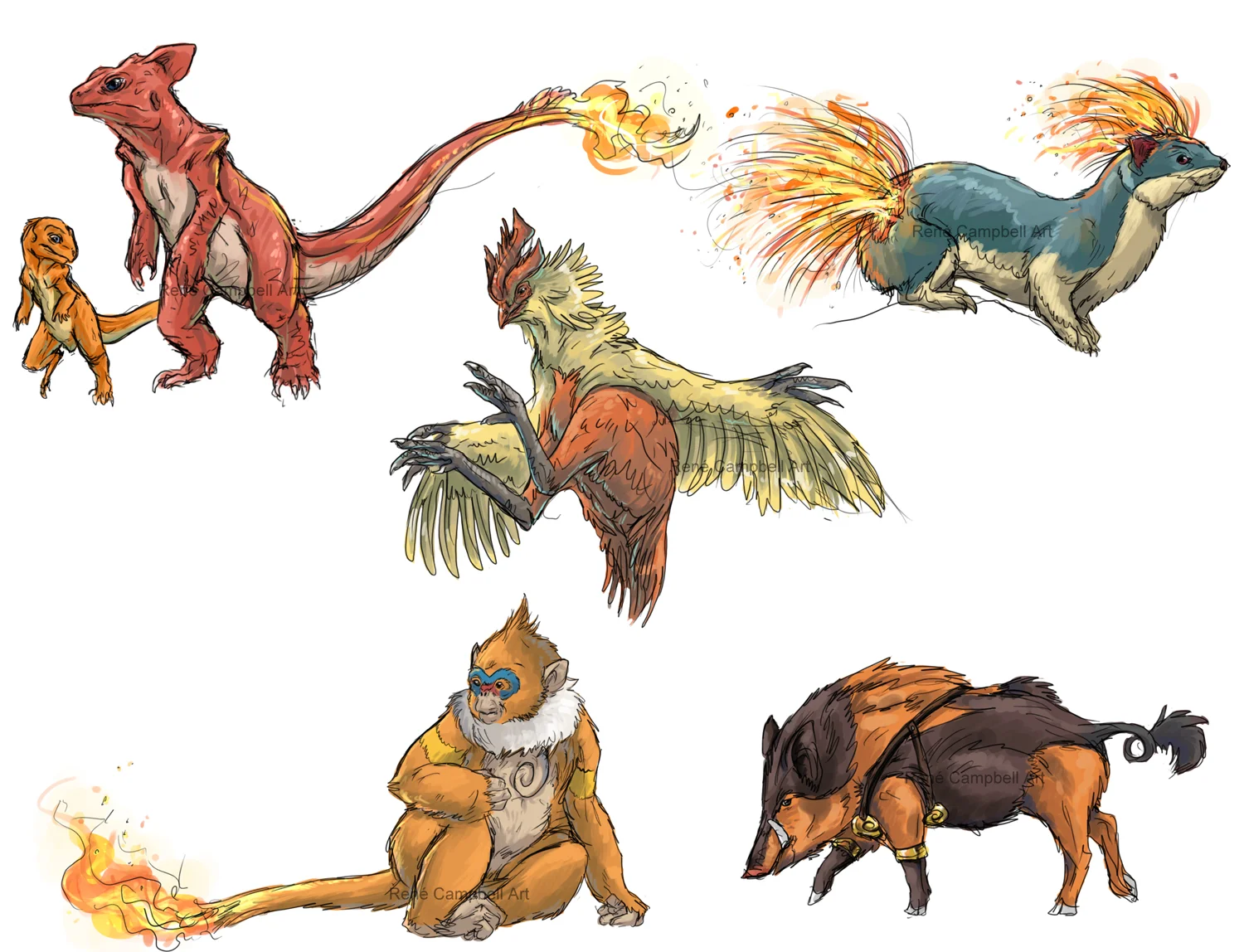 Realistic Pokémon Sketches: Fire Starter Evolutions