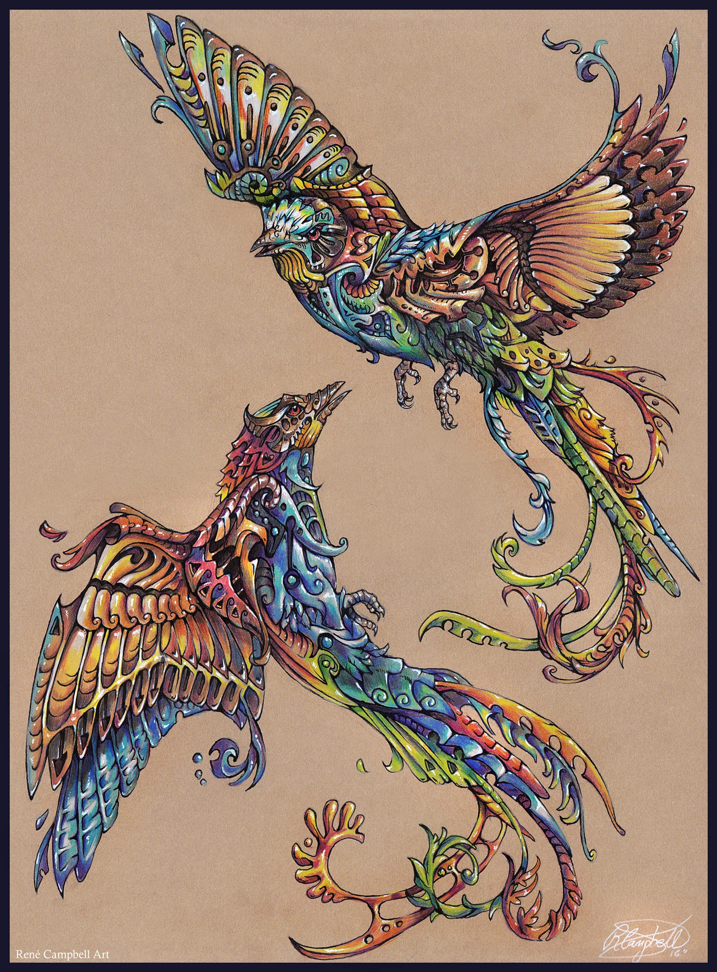 Flight of Paradise