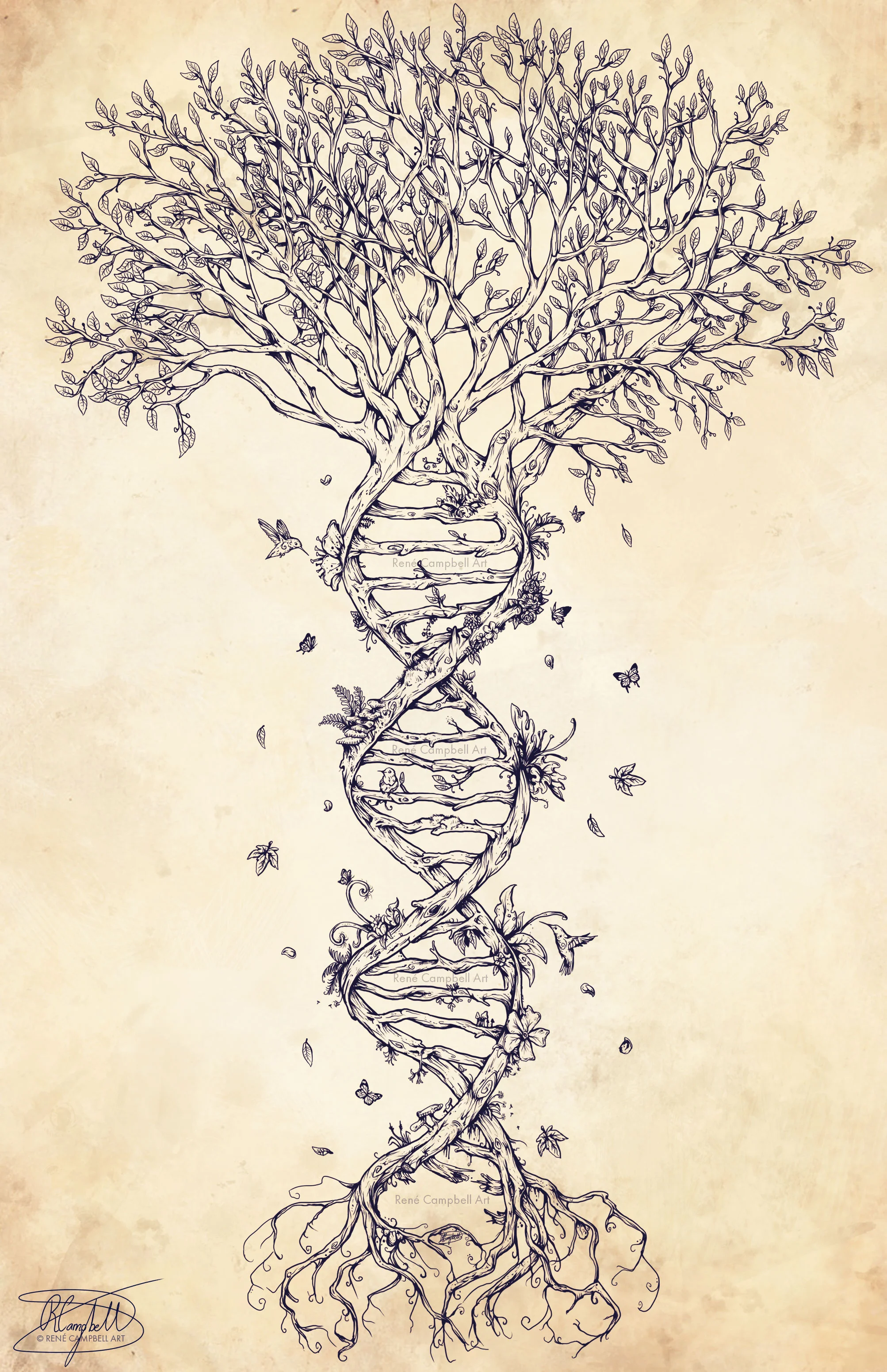 The Fabric of Life (Lineart)