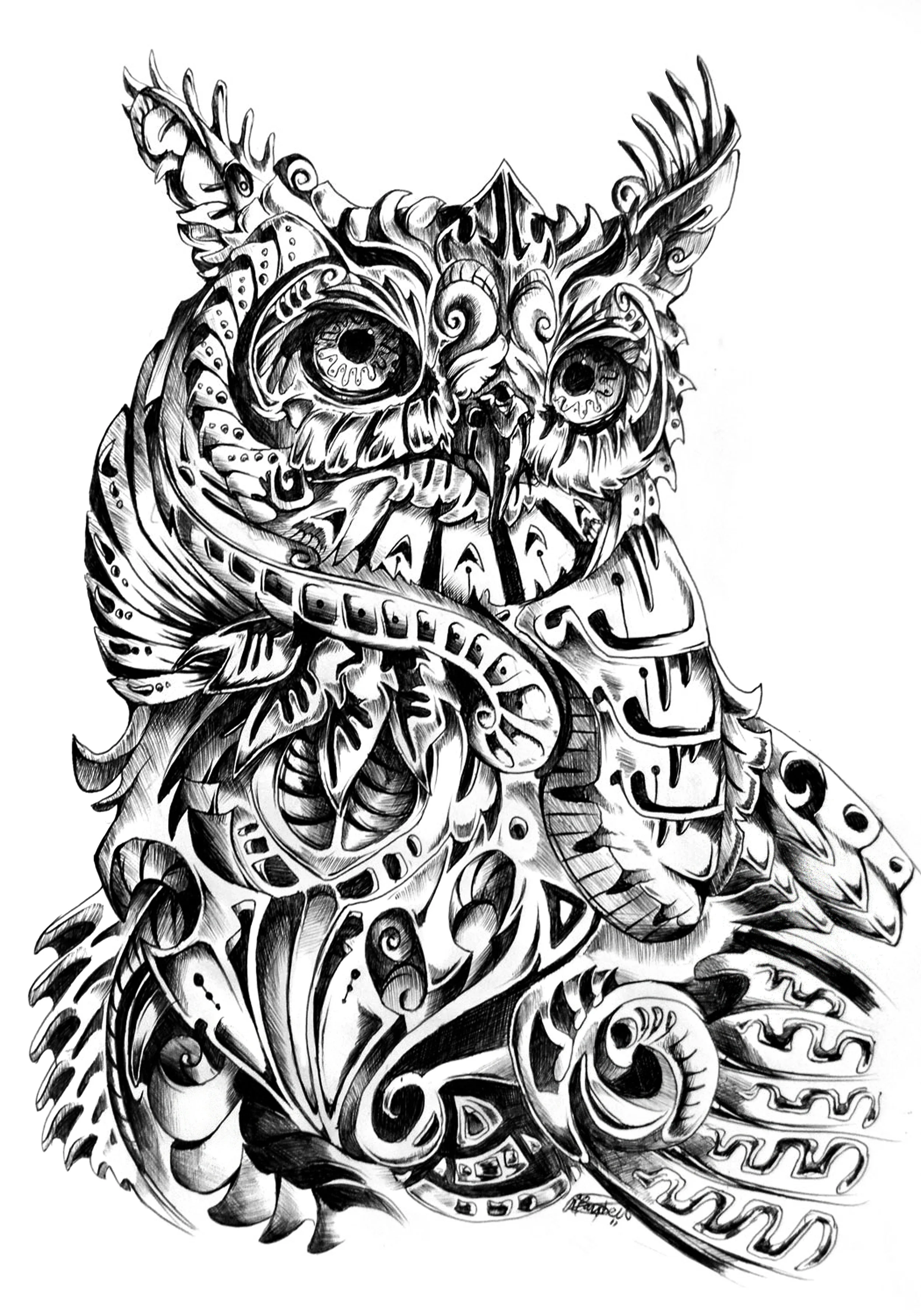 Observer