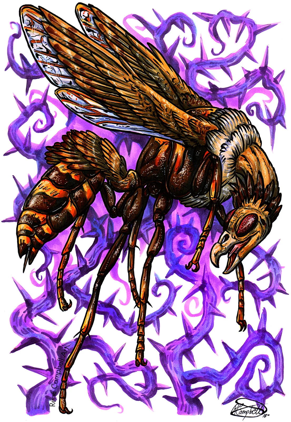 Buzzard-Wasp.jpg