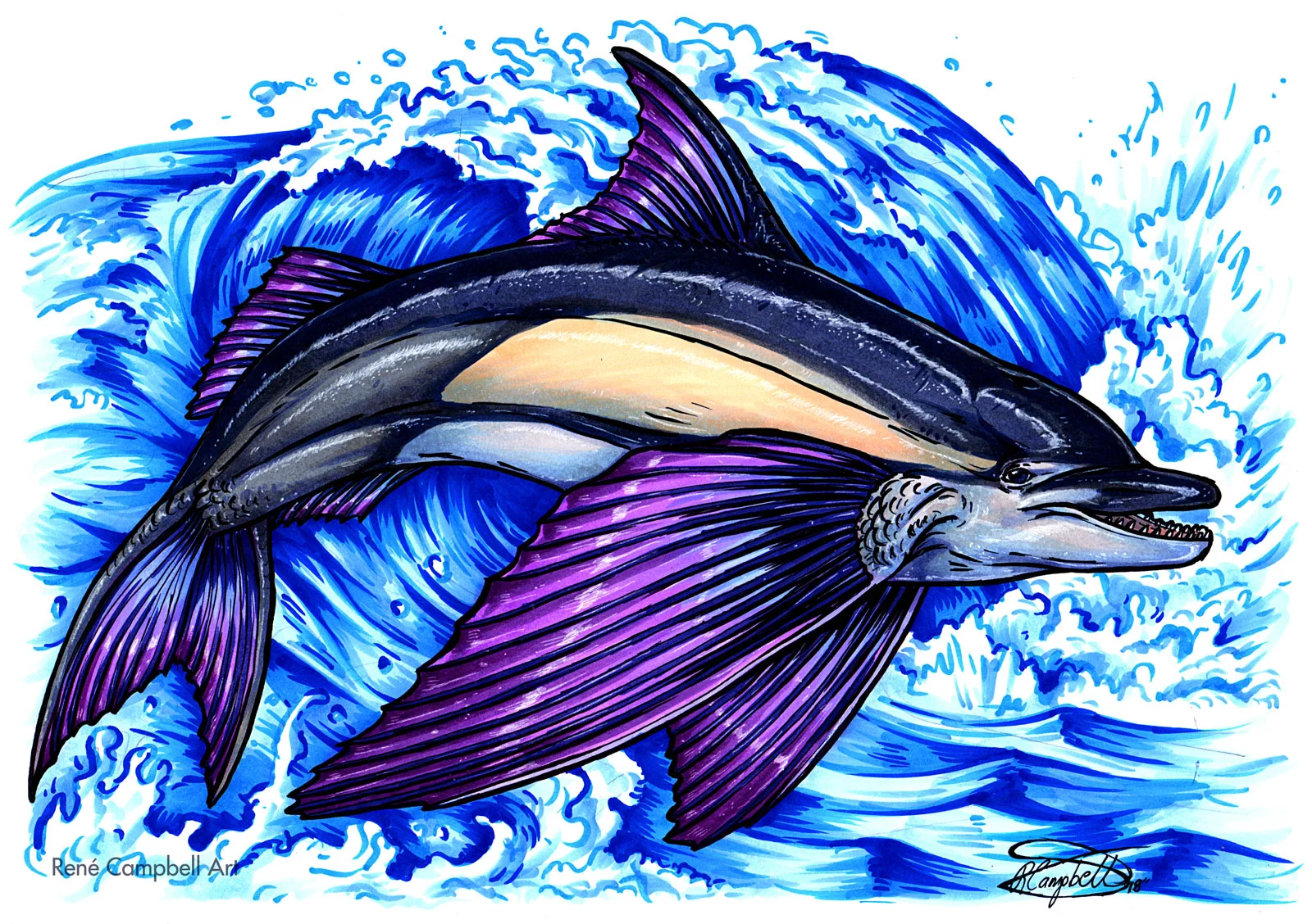 Flying-Dolphin-Fish.jpg