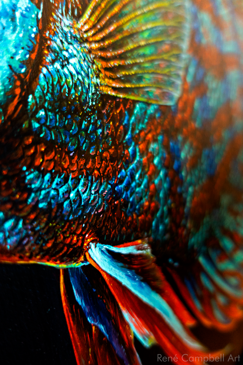 Discus_Detail_3.png