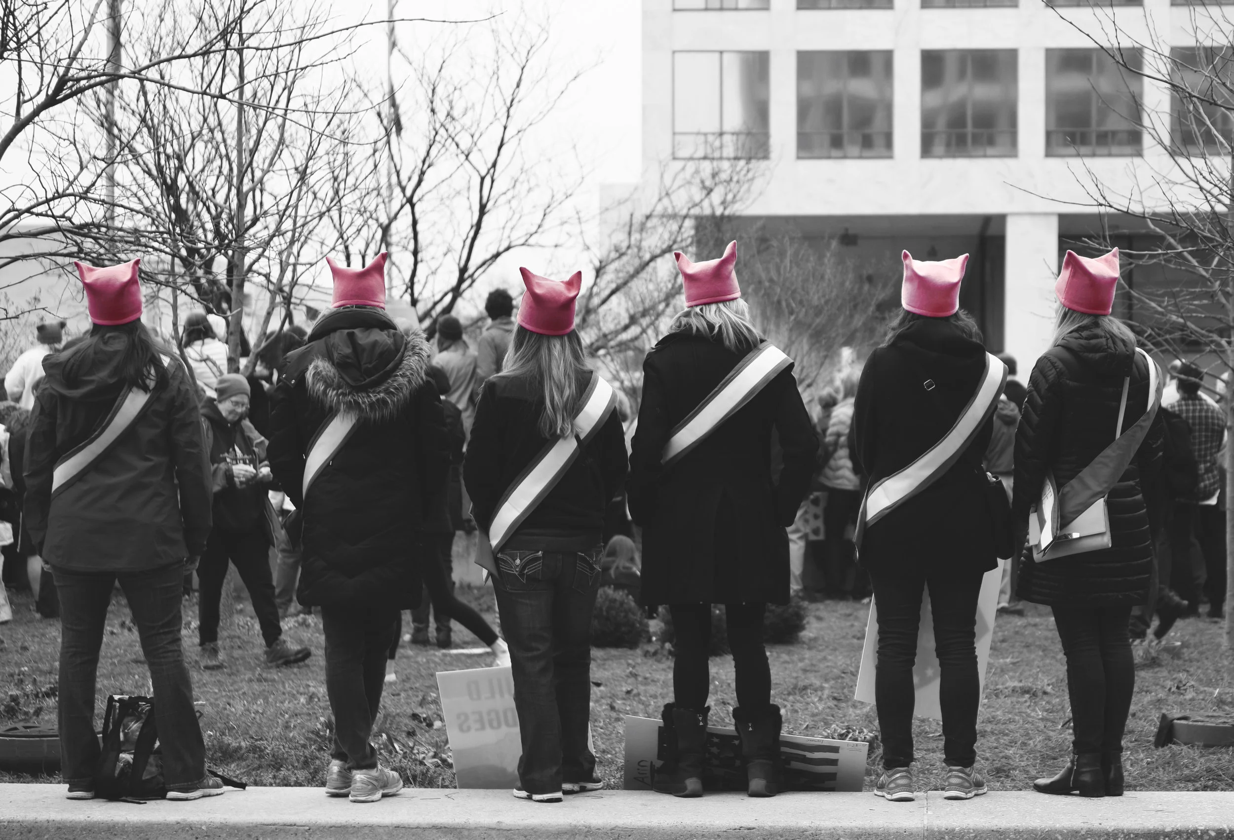 Pussy Power