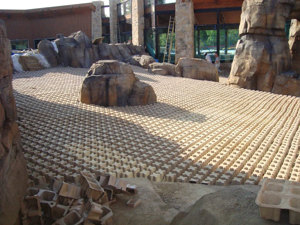 5670079532_6853271af5_b.jpg