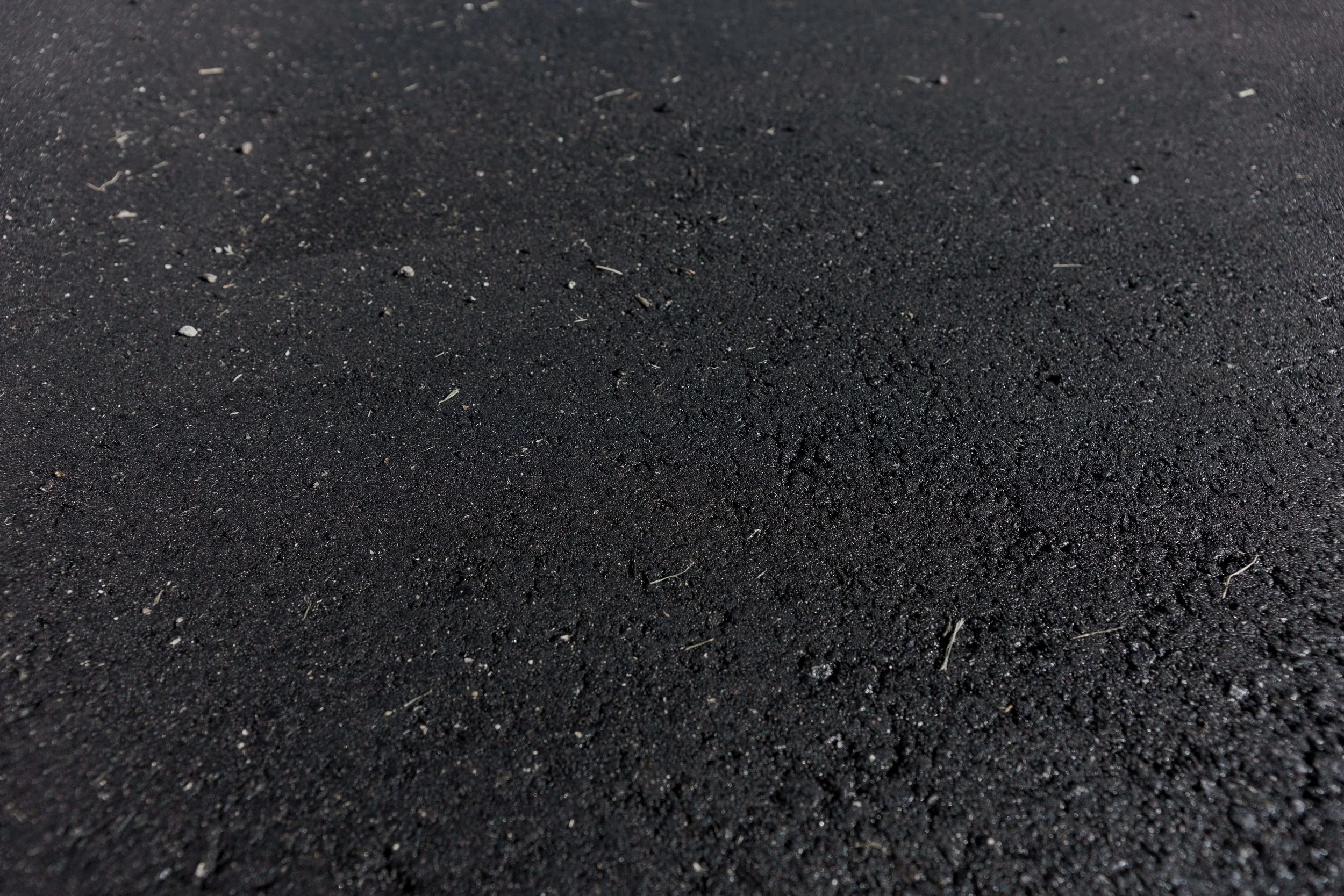 20160721-DSC09608.jpg