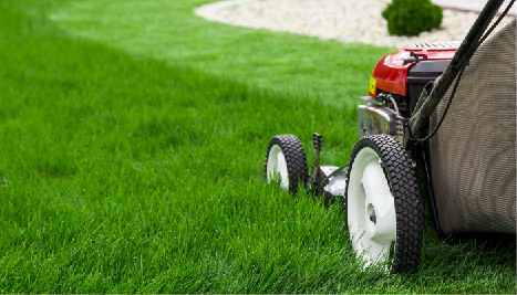 Commercial & Residential Garden Maintenance