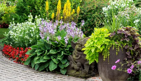 Garden Preparation & Planting