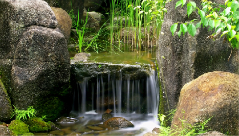 Water Features