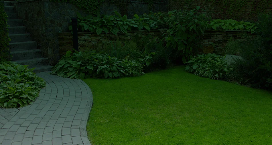 Concrete Driveways & Paths
