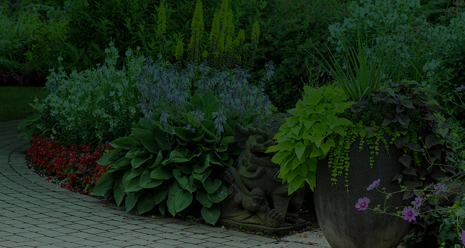 Garden Preparation & Planting
