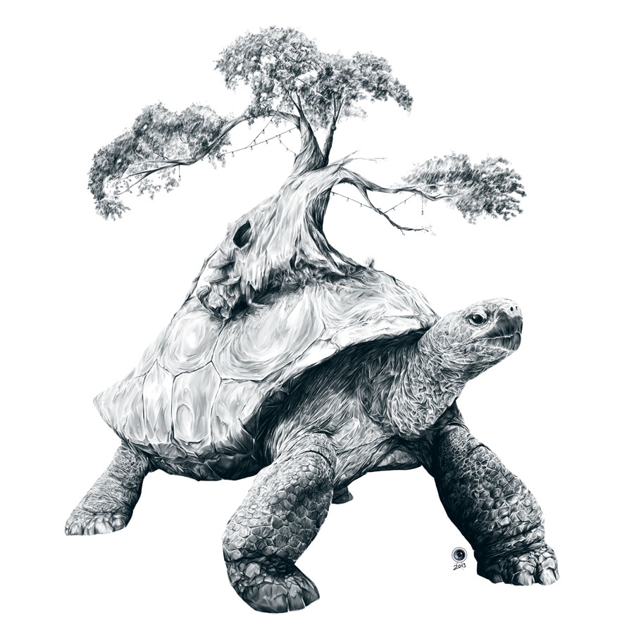 Tortoise Tree - Growth