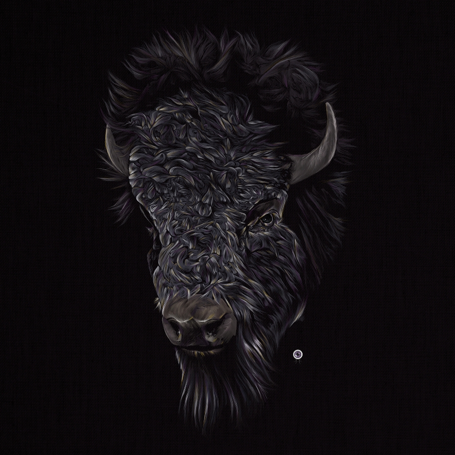 Bison/Buffalo