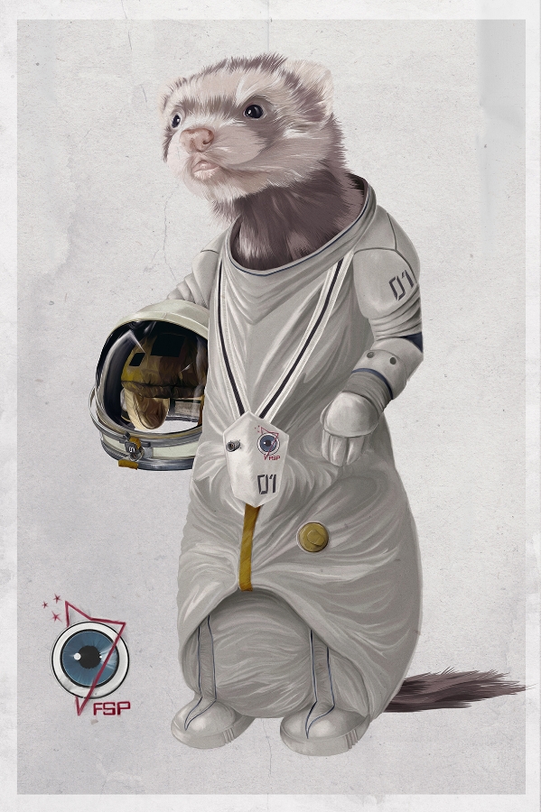 Ferreting in Space