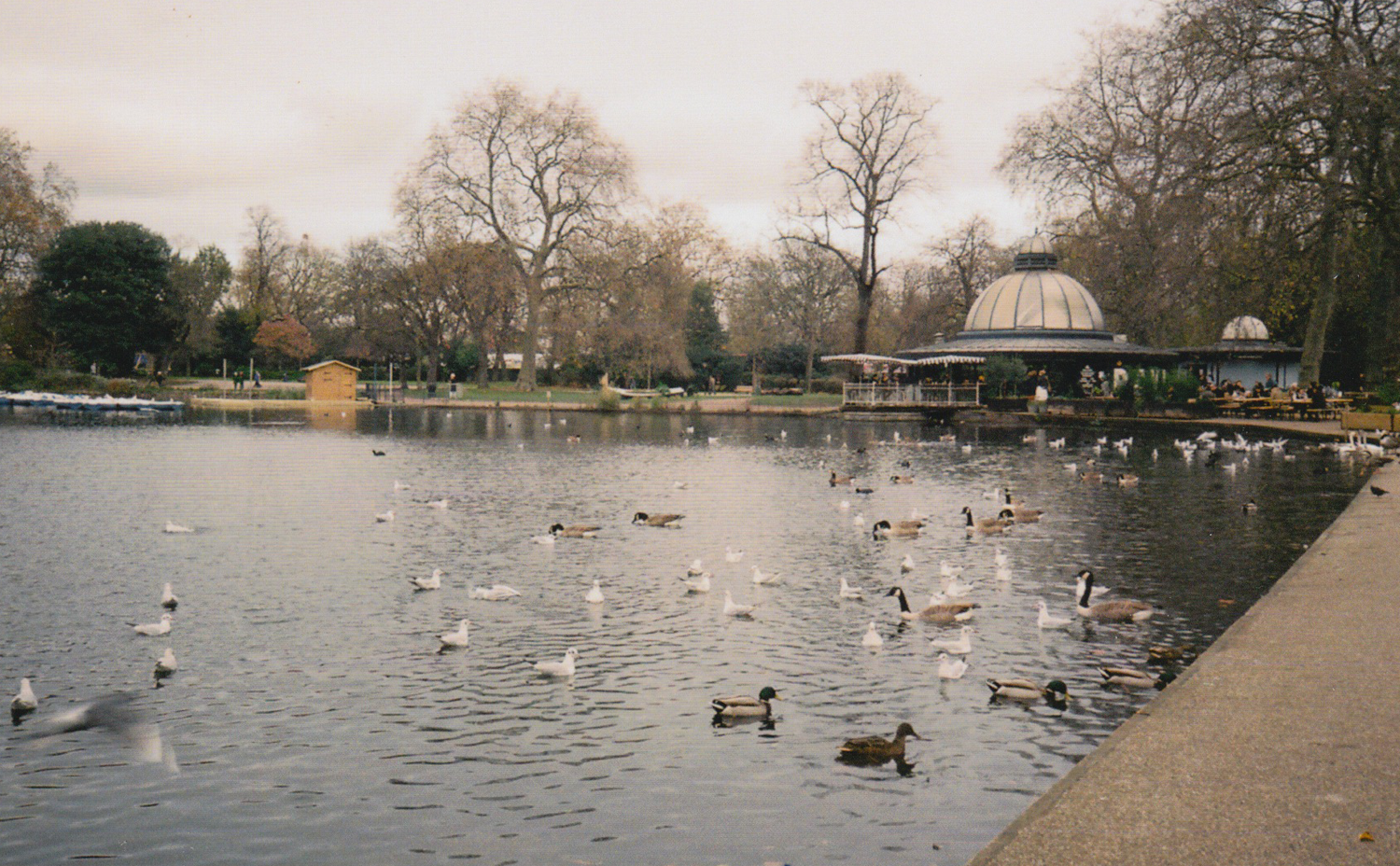 Pavillion Coffee.png