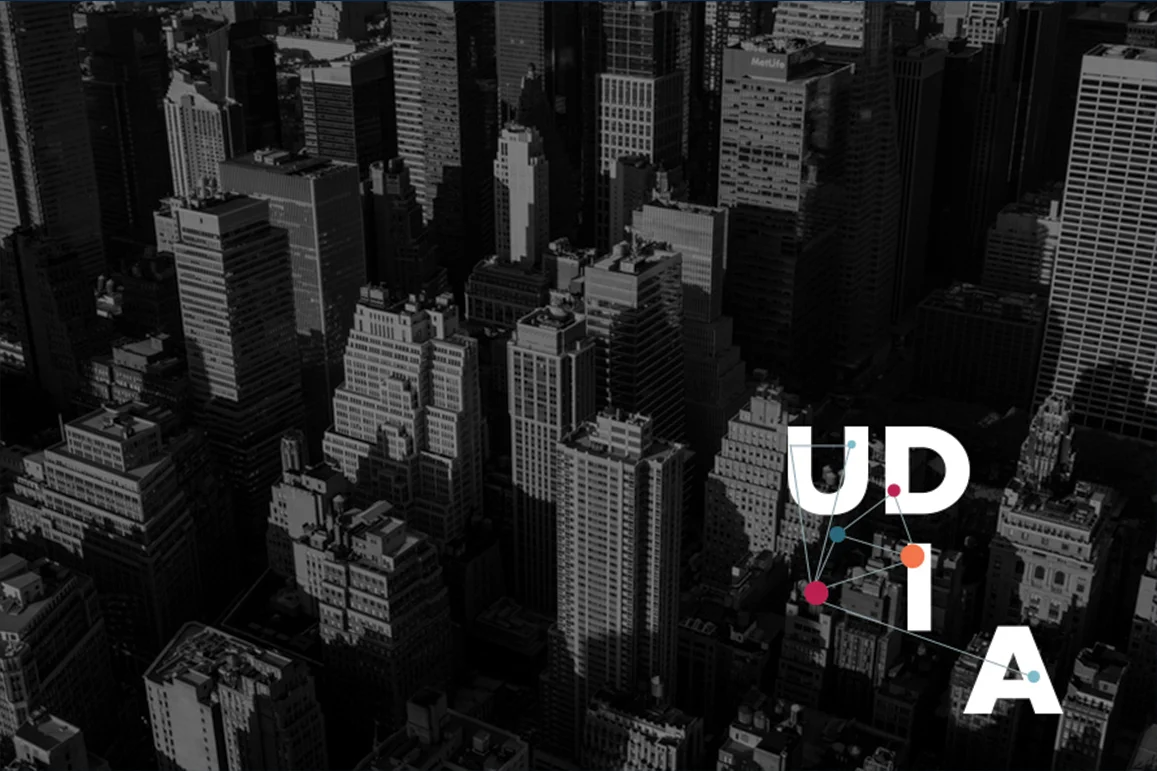 UDAi_1.jpg
