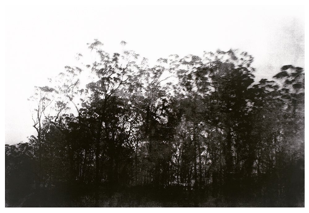 Come say hi to this dust print in the @tiles.lewisham exhibition and silent auction and support the artist run sector&mdash;-/&ldquo;remains&rdquo; charcoal dust print from bushfires at Lithgow - image taken from the windscreen as we kept out the con