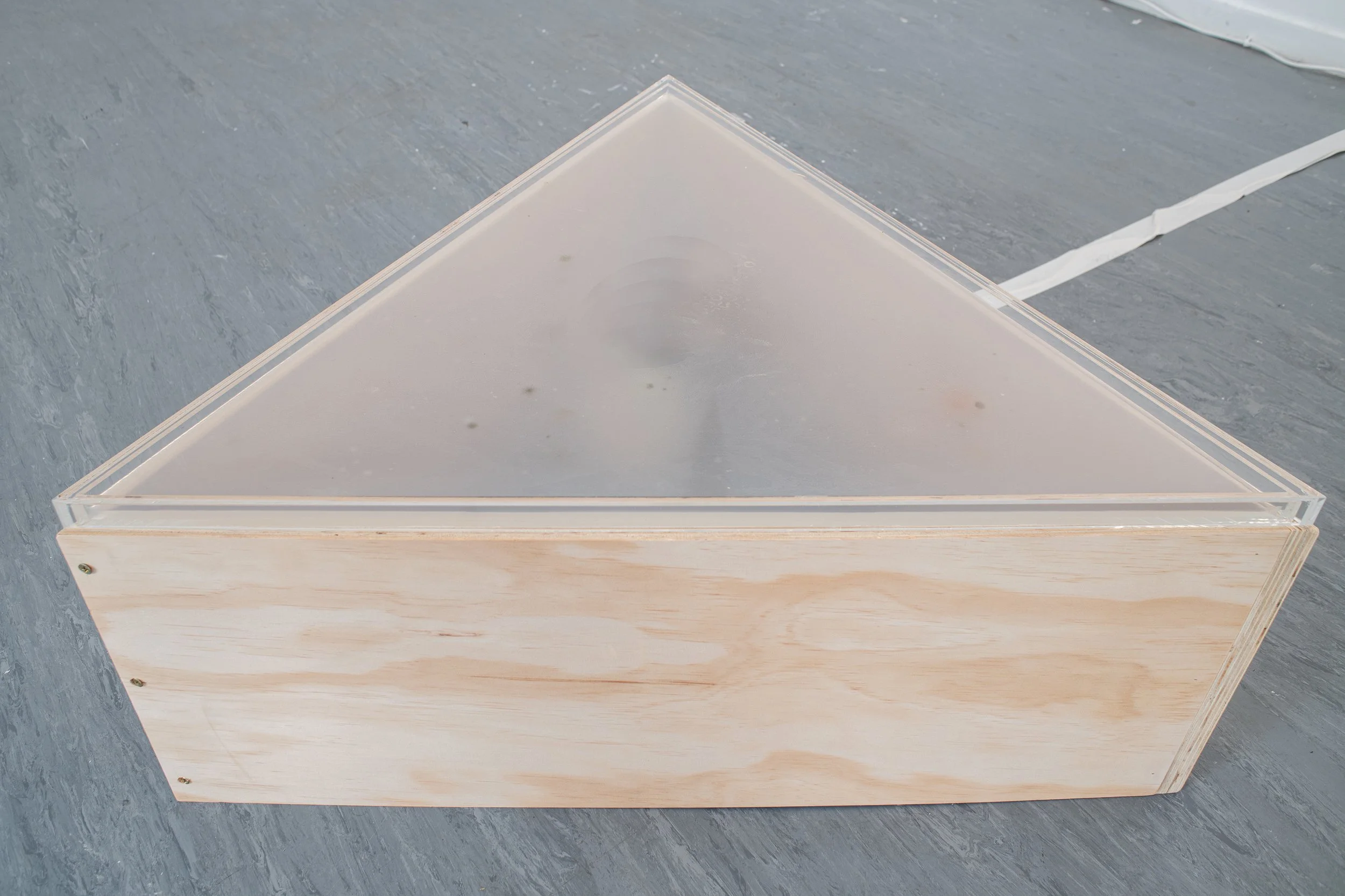 Carolyn Craig_Install Shots-18.jpg