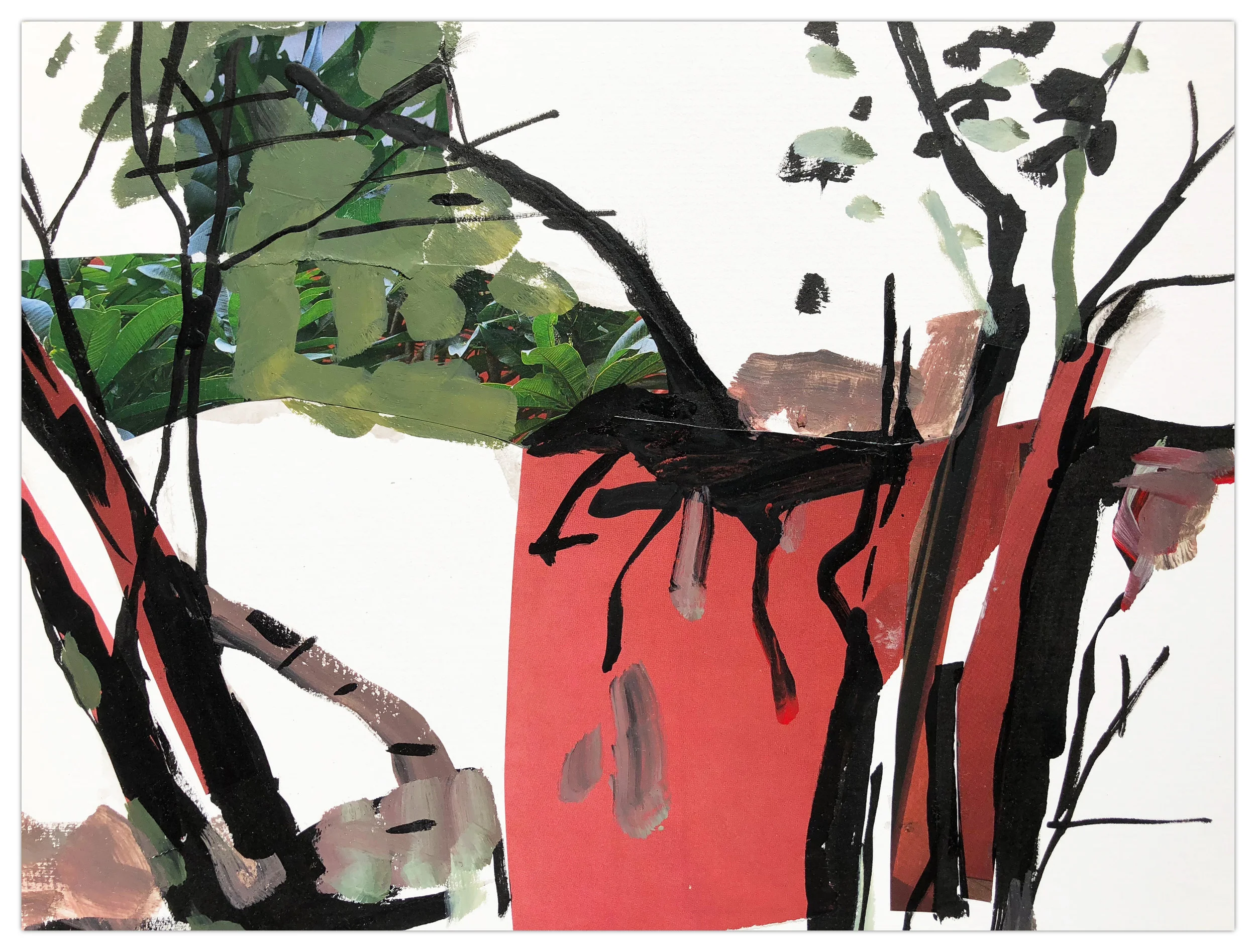 Brunswick River 01