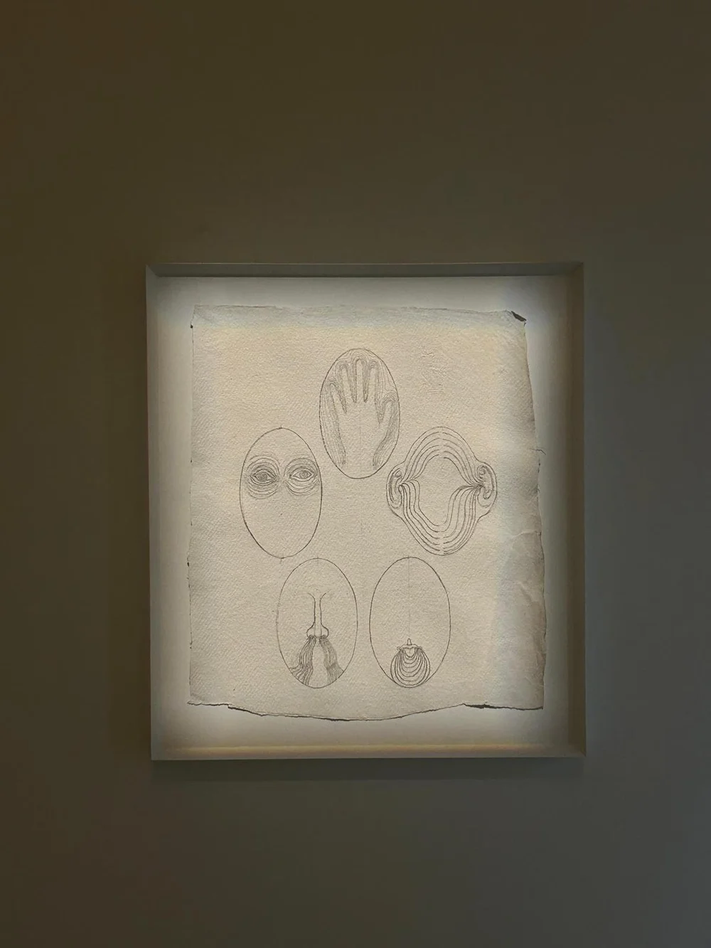 WhatsApp Image 2025-01-13 at 17.00.32.jpeg