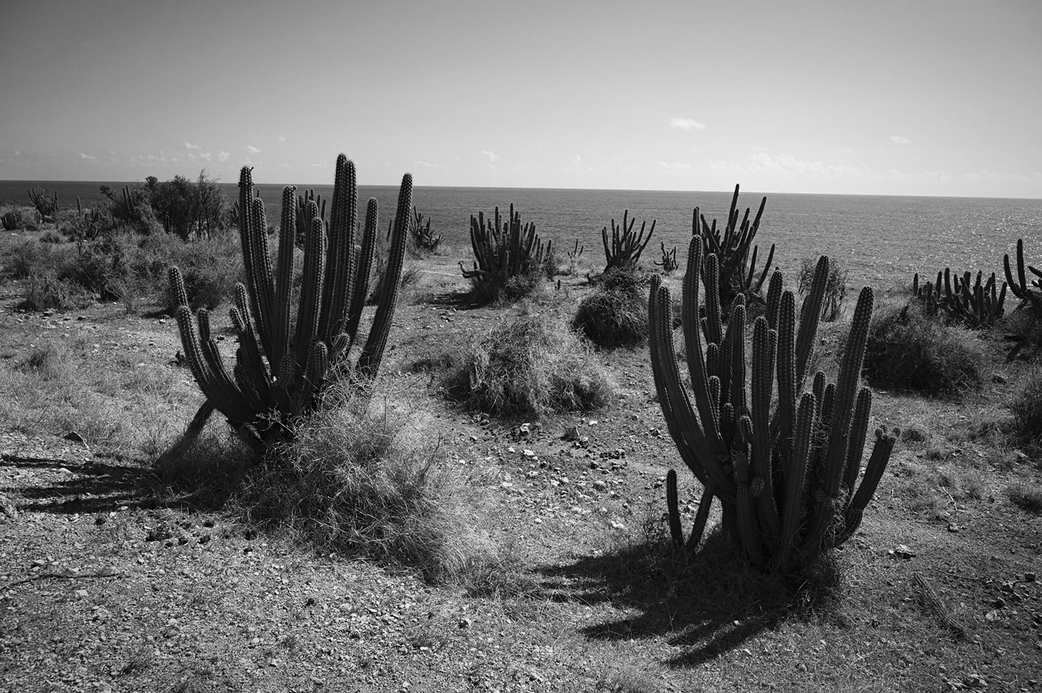 DSC_8366.jpg