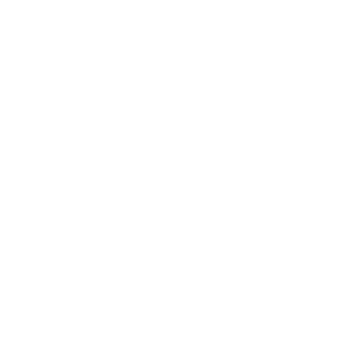 ALPS Movement Pilates - Thalwil &amp; Online