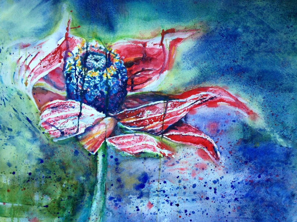 Poppy