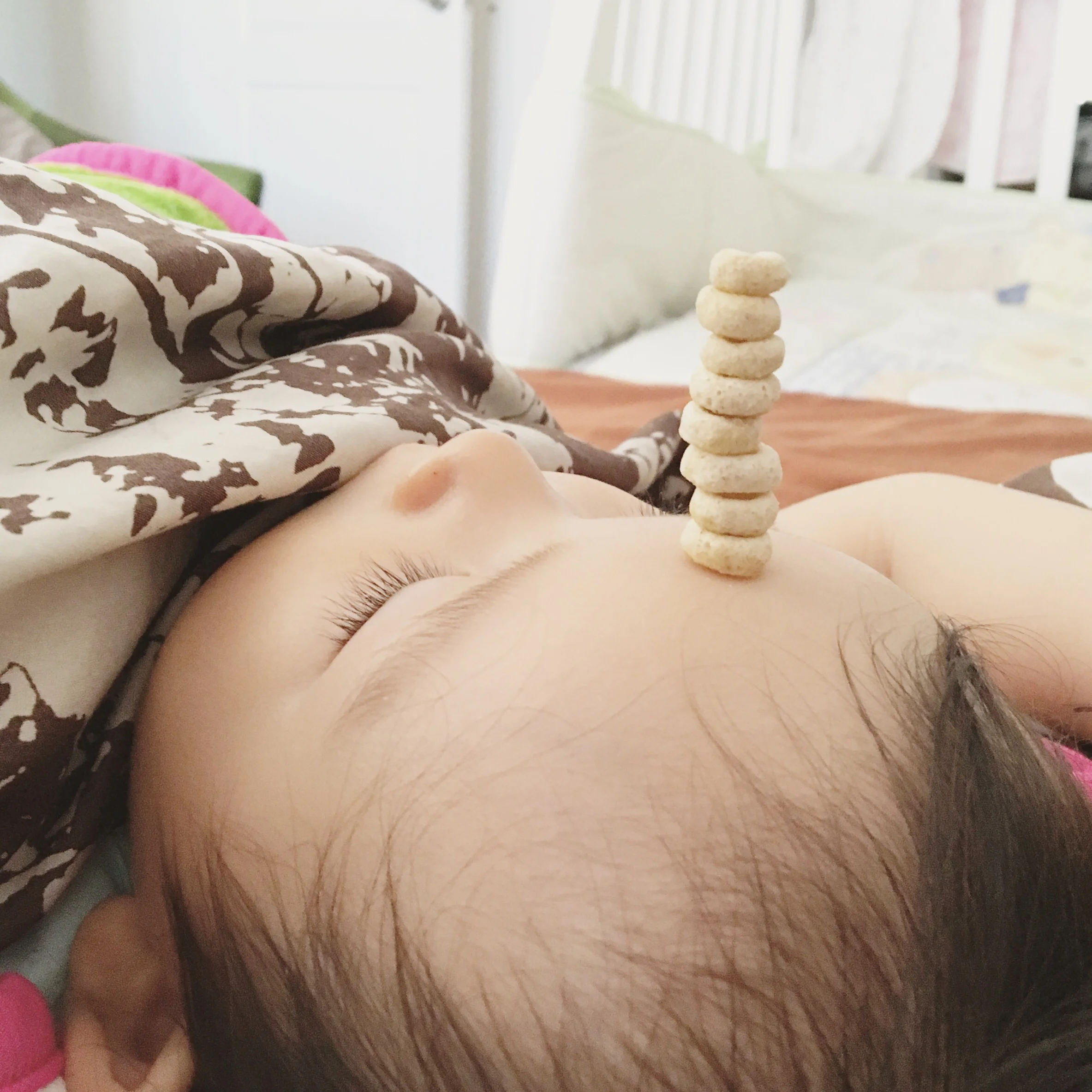 Our little Cheerio totem of cuteness. 