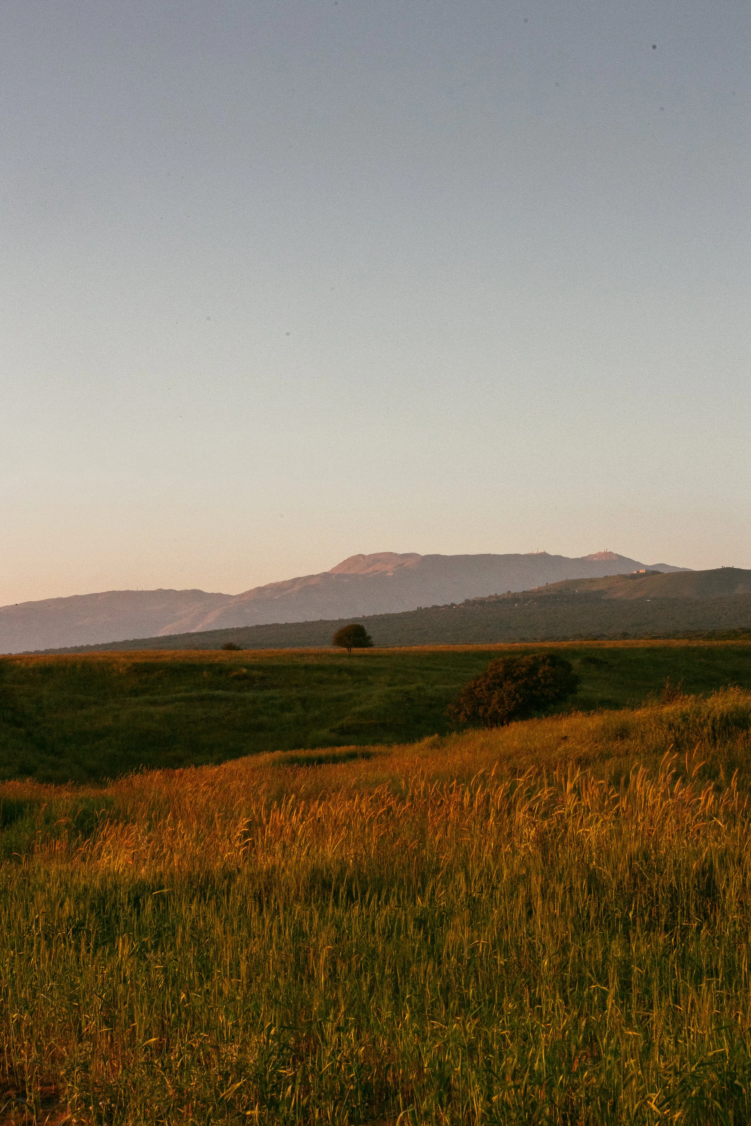 071A4239.jpg