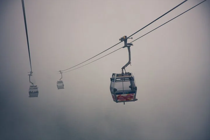 224009_10150180586588956_8185024_n.jpg