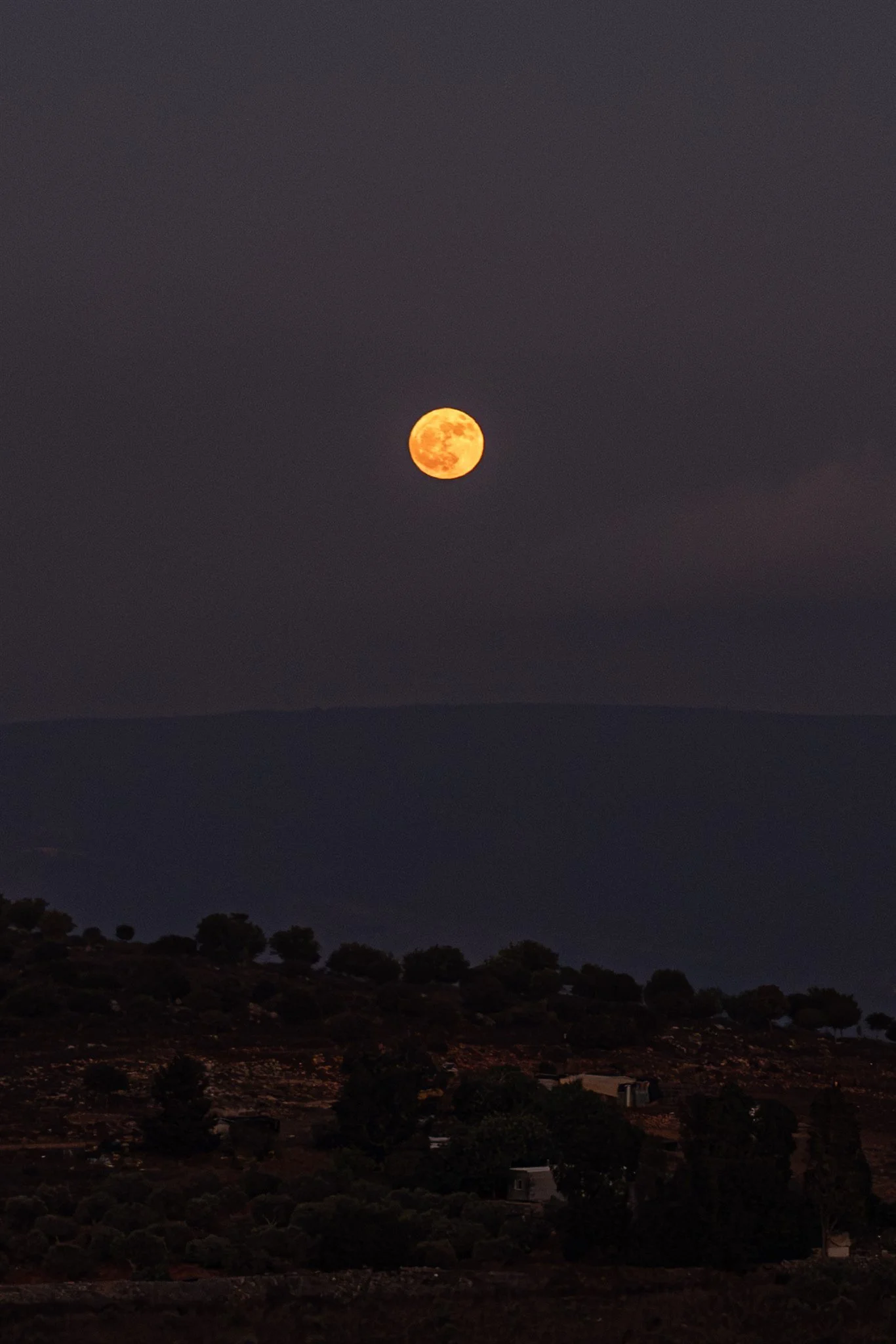 071A7245-Enhanced-NR.jpg