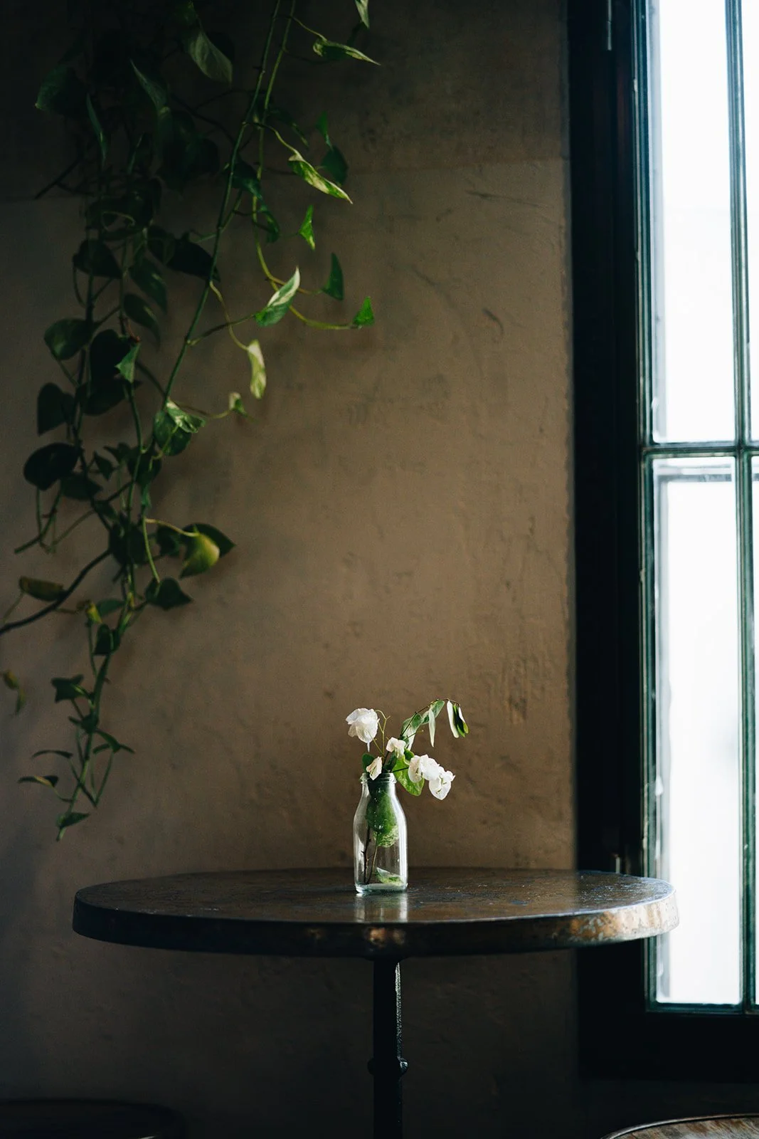 071A6103.jpg