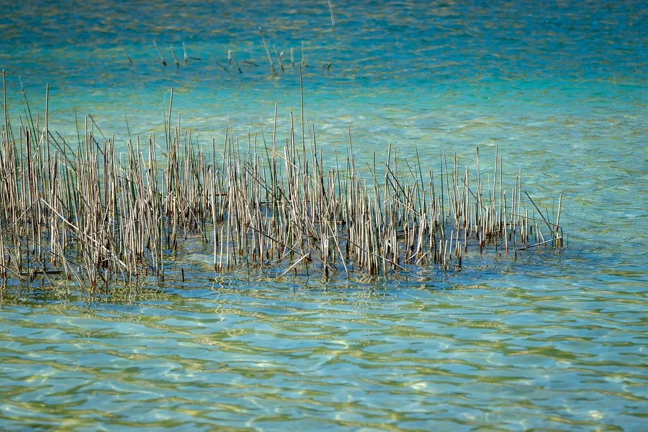  Julie Finneran 'Silence' (in St. Mark's and on Zoom)
