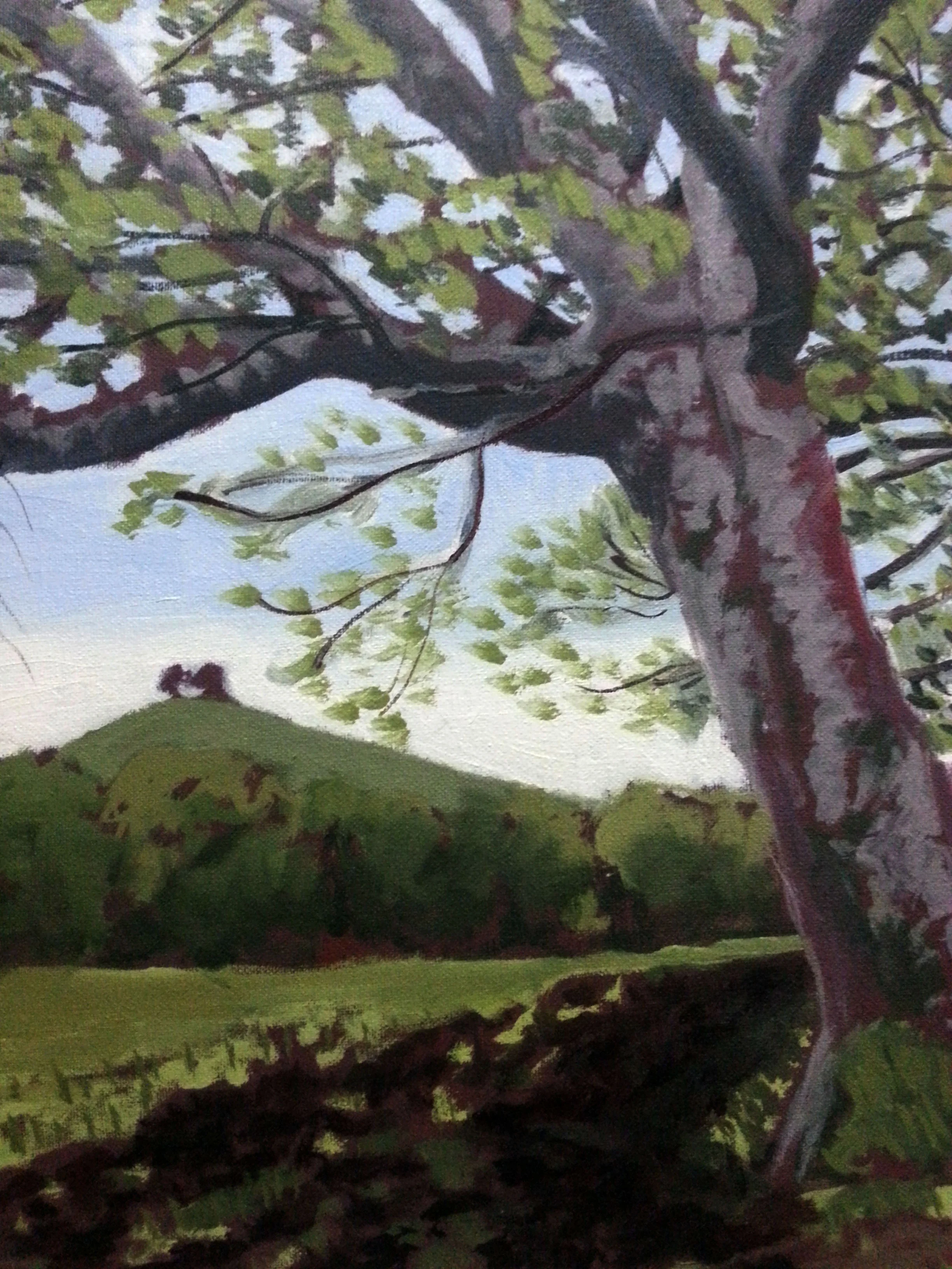 Tree under Colmers Hill