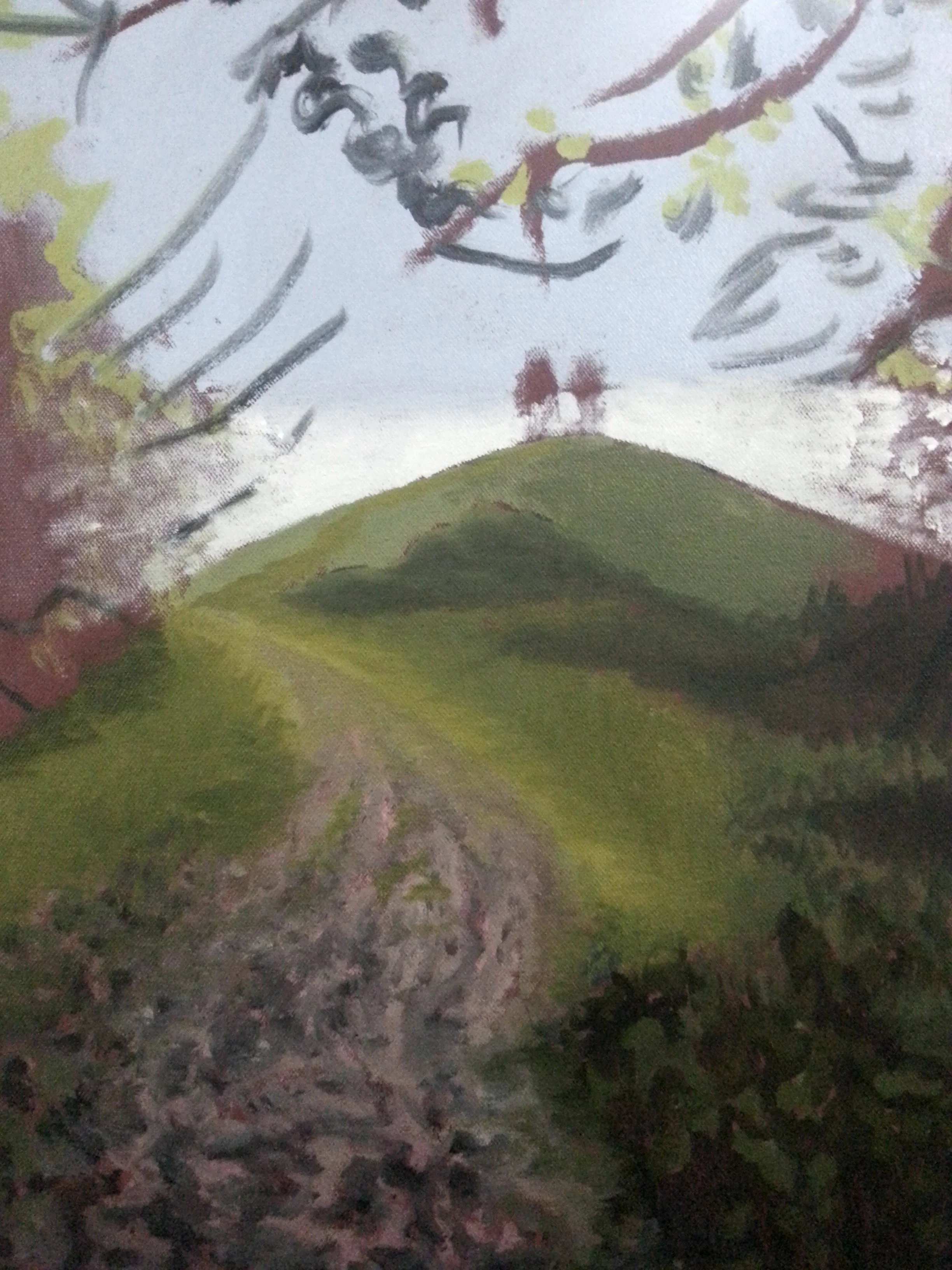 Path up Colmers Hill