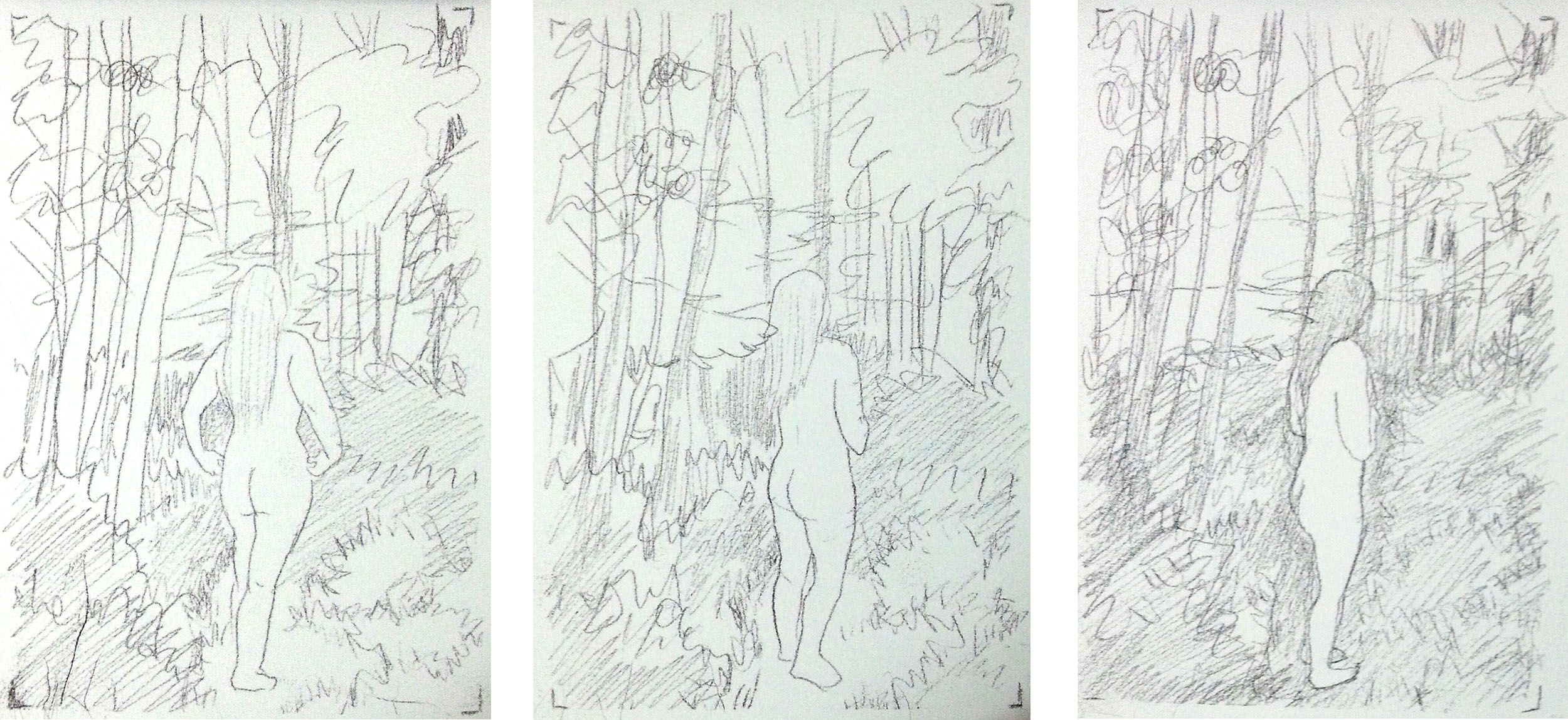girl in the woods x3 2500.jpg