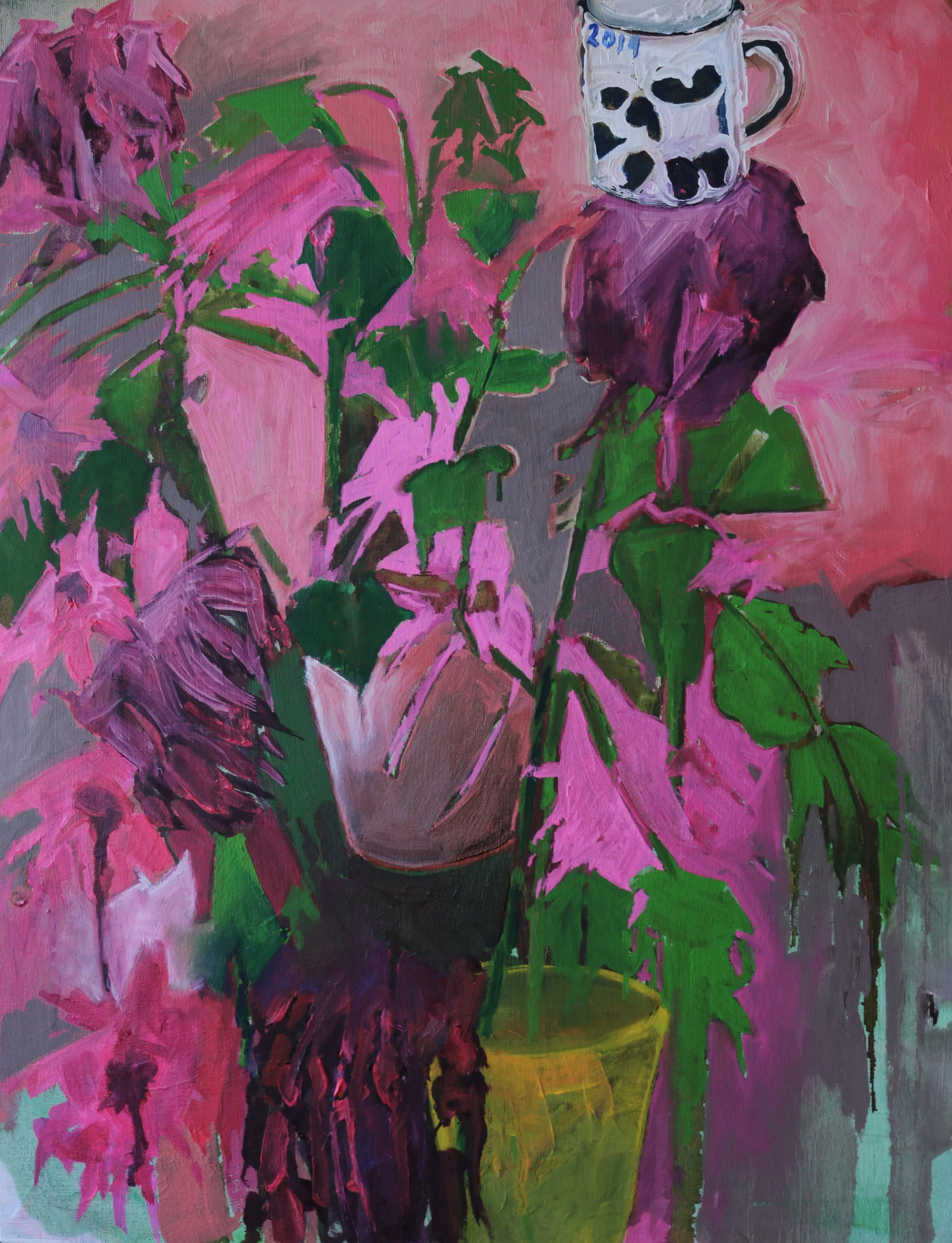 "La Romita cup 2014"