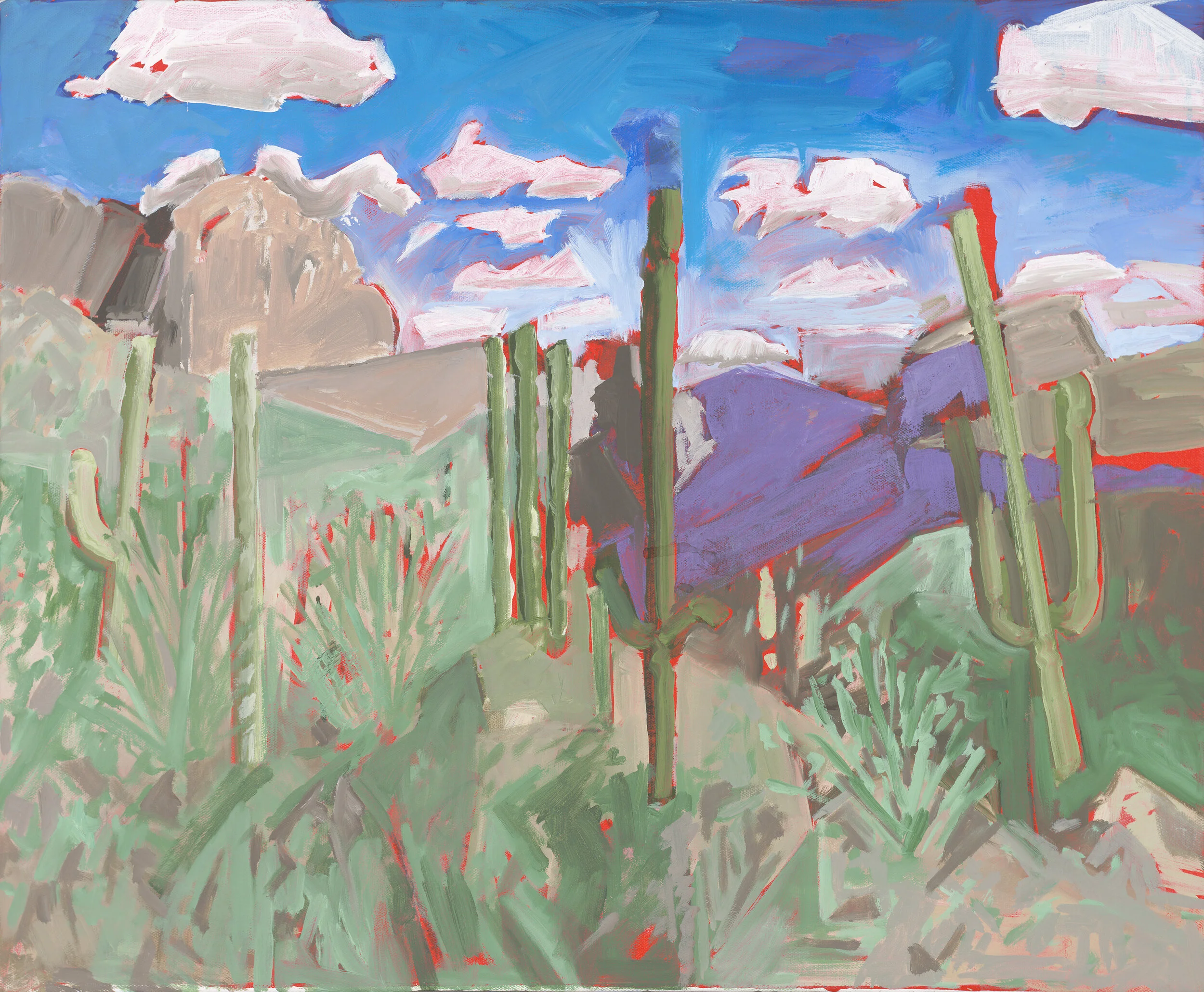 "Beloved Tucson"