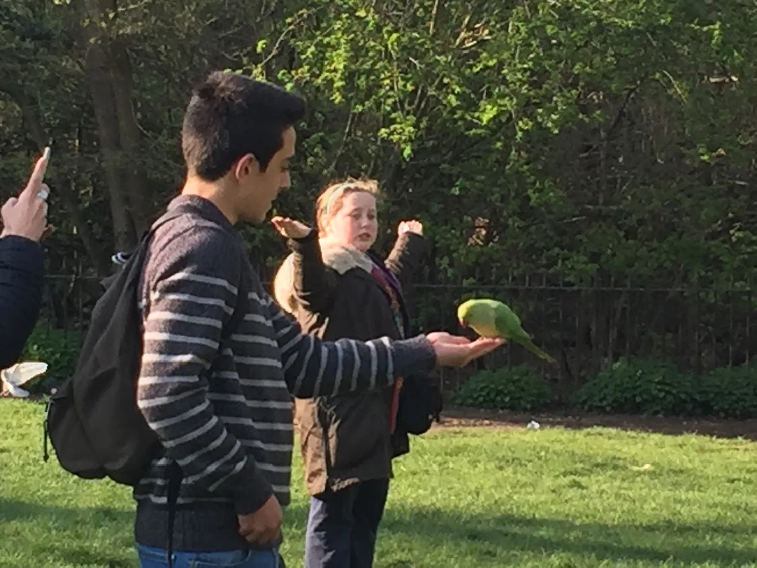 Feeding the birds in Hyde Park