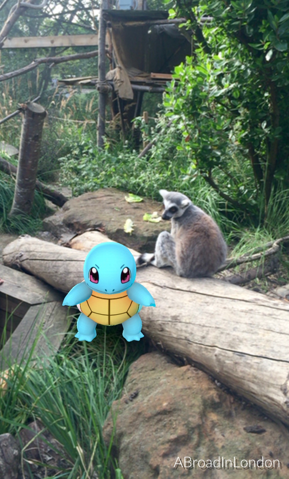London Zoo, Regent's Park