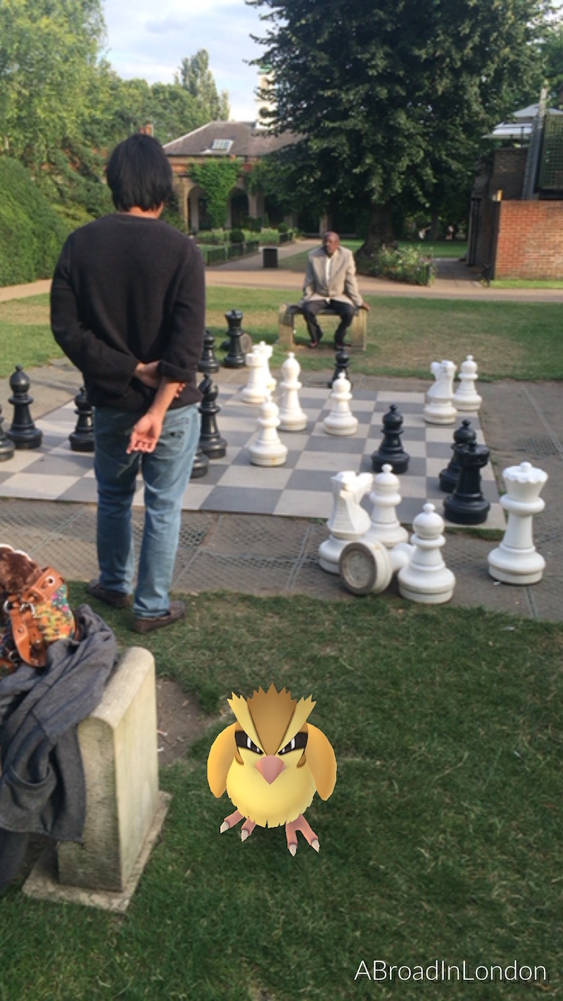 Playing giant Chess in Holland Park. Pidgey clearly disapproves