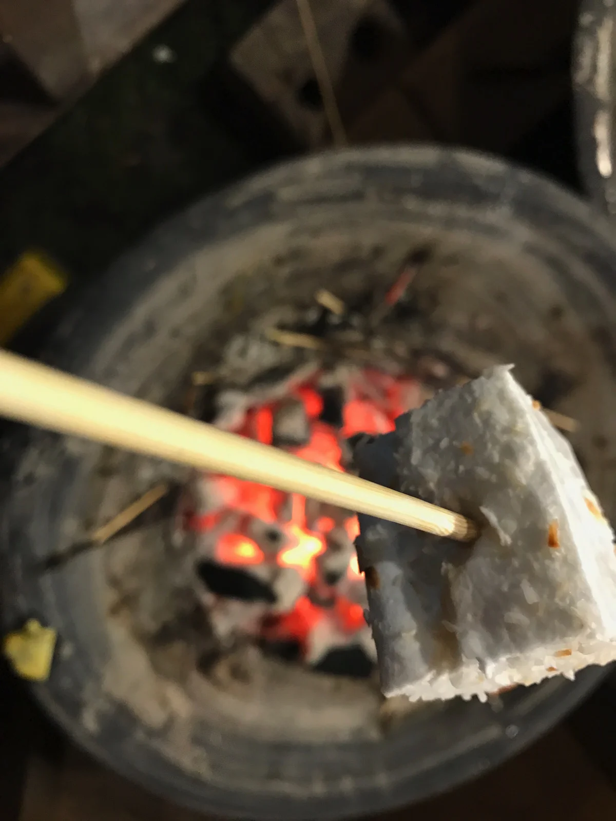 Roasting Marshmallows at Magical Lantern Festival, London