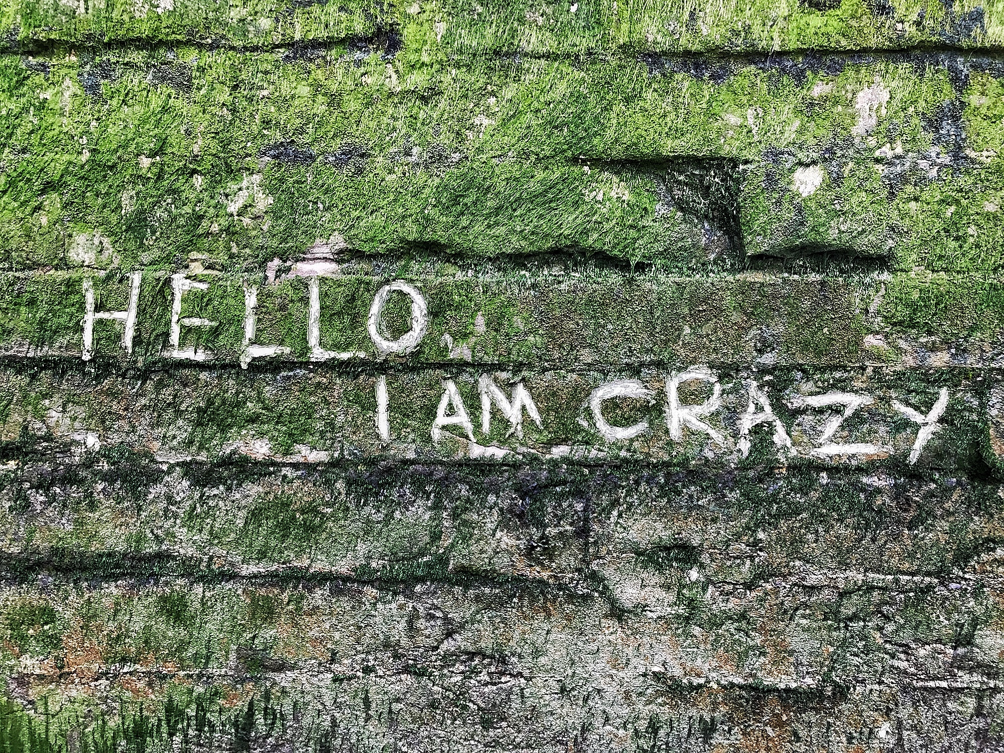 Written on the River wall near Greenwich. Hello I Am Crazy Hero.jpeg