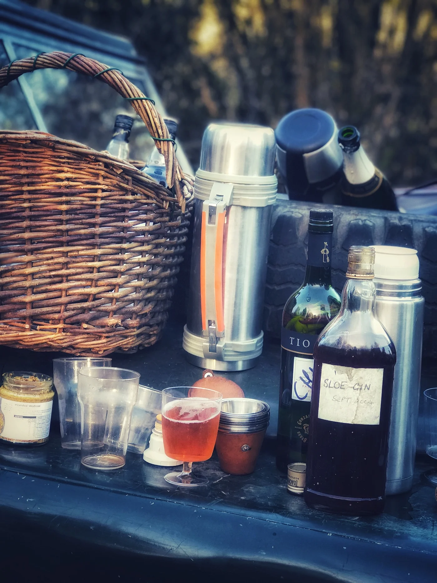 Picnic on top of a Range Over.jpeg